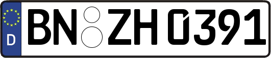 BN-ZH0391