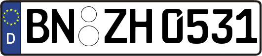 BN-ZH0531
