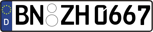 BN-ZH0667