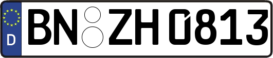 BN-ZH0813