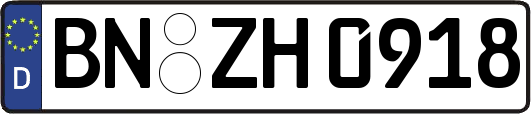 BN-ZH0918