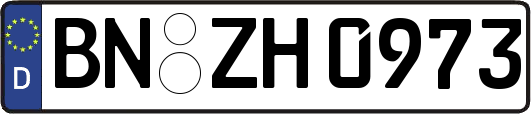 BN-ZH0973