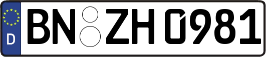 BN-ZH0981