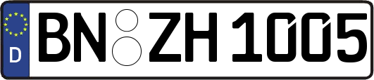 BN-ZH1005