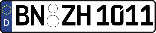 BN-ZH1011