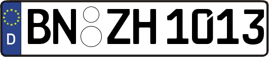 BN-ZH1013