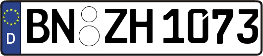 BN-ZH1073