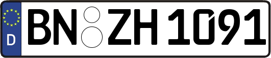 BN-ZH1091