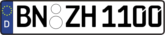 BN-ZH1100