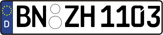 BN-ZH1103