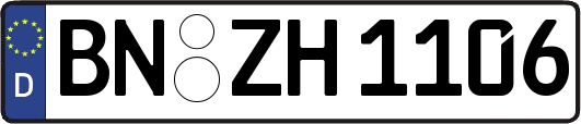 BN-ZH1106
