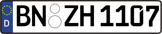 BN-ZH1107