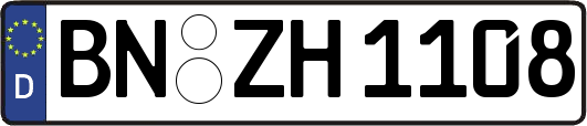 BN-ZH1108