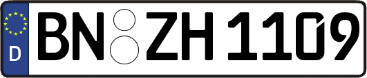 BN-ZH1109