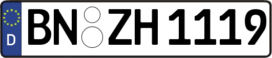 BN-ZH1119