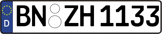 BN-ZH1133