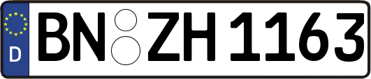 BN-ZH1163