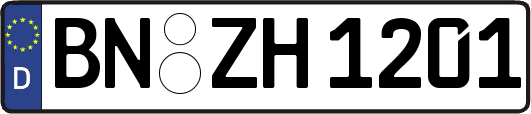 BN-ZH1201