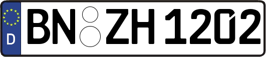 BN-ZH1202