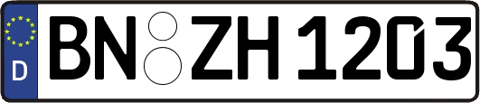 BN-ZH1203