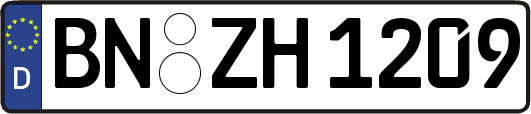 BN-ZH1209
