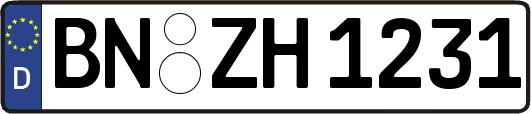 BN-ZH1231