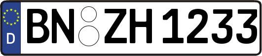 BN-ZH1233