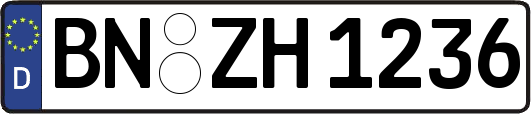 BN-ZH1236