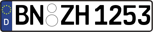 BN-ZH1253