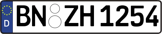 BN-ZH1254