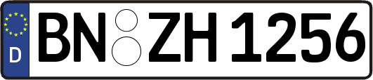 BN-ZH1256