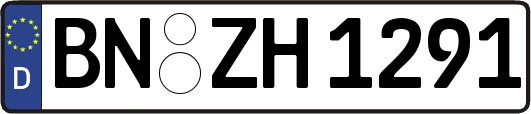 BN-ZH1291
