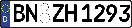 BN-ZH1293