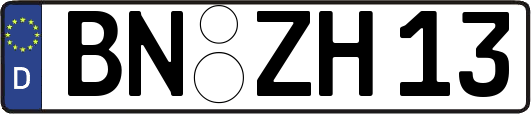 BN-ZH13