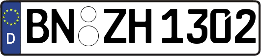 BN-ZH1302