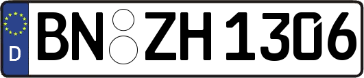 BN-ZH1306