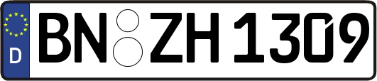 BN-ZH1309