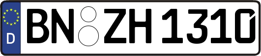 BN-ZH1310
