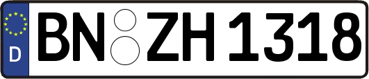 BN-ZH1318