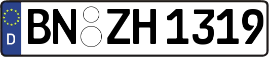 BN-ZH1319