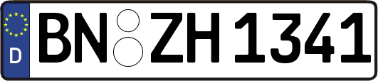 BN-ZH1341