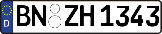BN-ZH1343