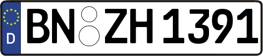 BN-ZH1391