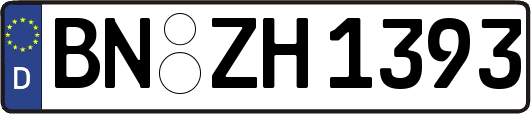 BN-ZH1393