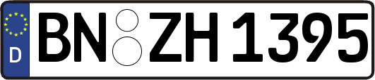 BN-ZH1395