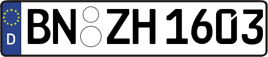 BN-ZH1603