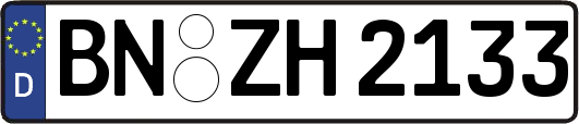 BN-ZH2133
