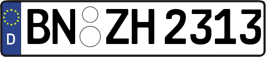 BN-ZH2313