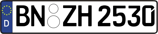 BN-ZH2530