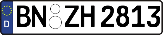 BN-ZH2813
